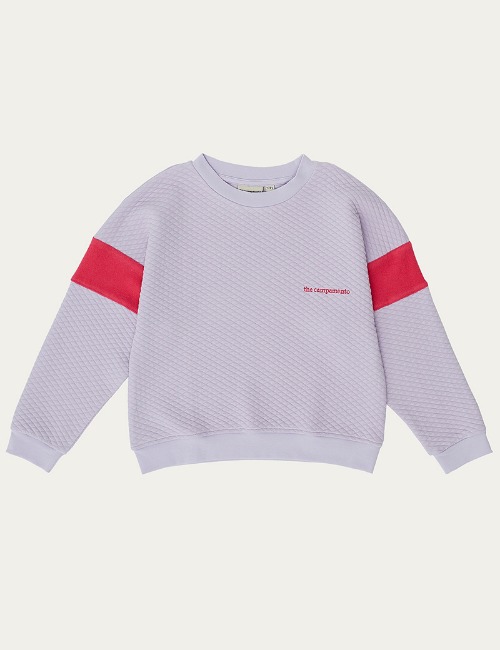 Purple Color Block Sweatshirt(8Y,10Y)